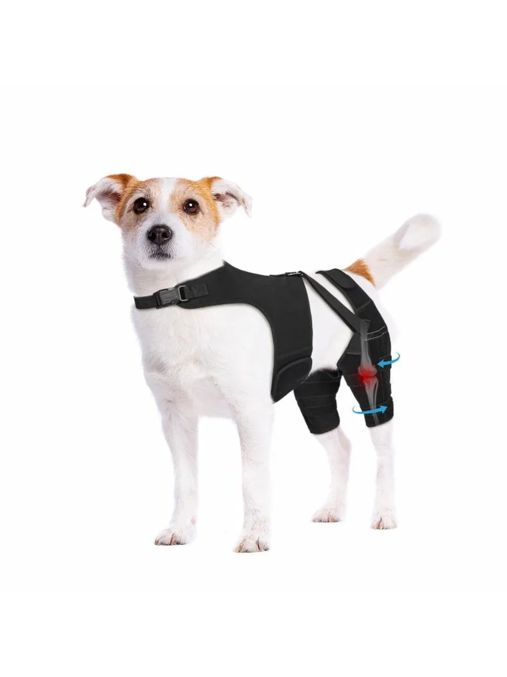 Pawfun XS Dog Knee Brace Torn ACL Hind Leg Dog Metal Stabilizers